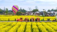 四川广安：油菜花开正艳 乡村旅游升温