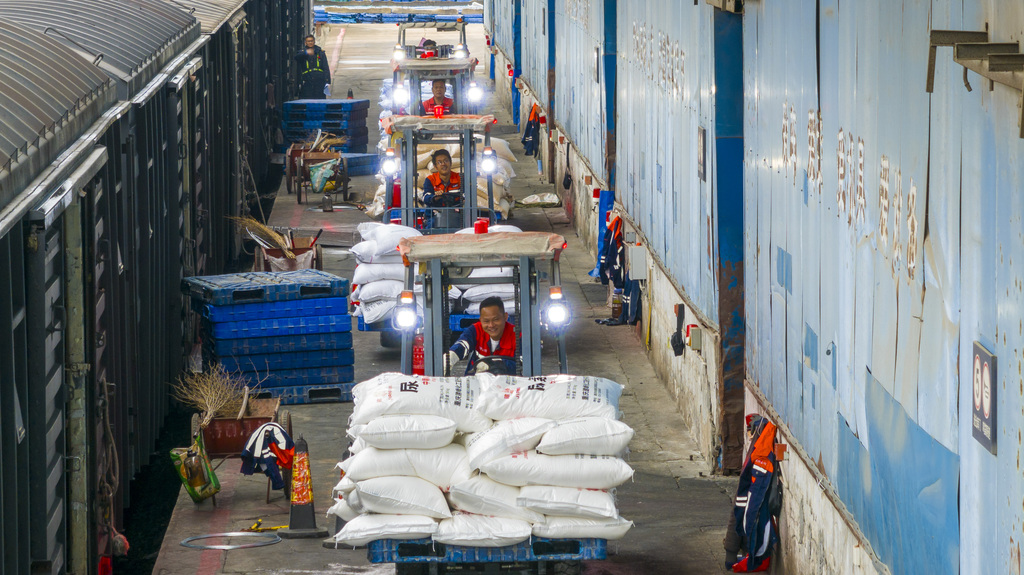 广西梧州：铁路货场工人抢卸化肥