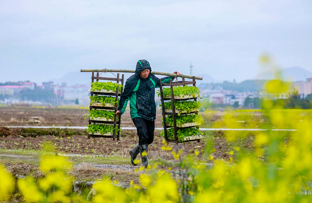 湖南新田：村民抢抓农时进行田间春种
