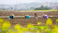 湖南新田：村民抢抓农时进行田间春种