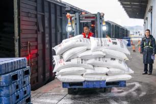 广西梧州：铁路货场工人抢卸化肥