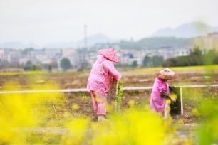 湖南新田：村民抢抓农时进行田间春种