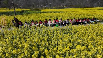 重庆：小学生油菜花海写生踏青