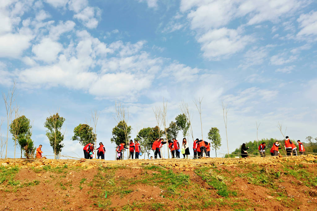 重庆：植树造林筑牢城市生态屏障