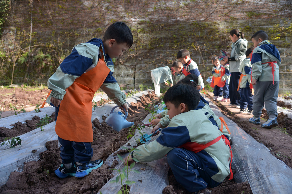 四川内江：萌娃感受春播农耕乐趣
