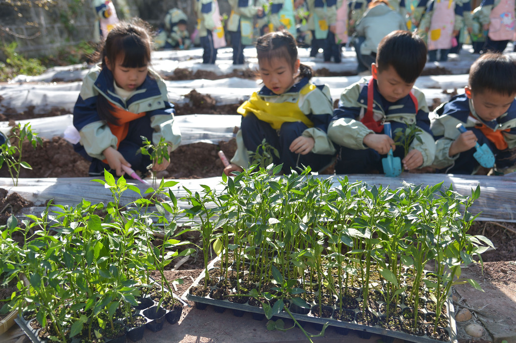 四川内江：萌娃感受春播农耕乐趣
