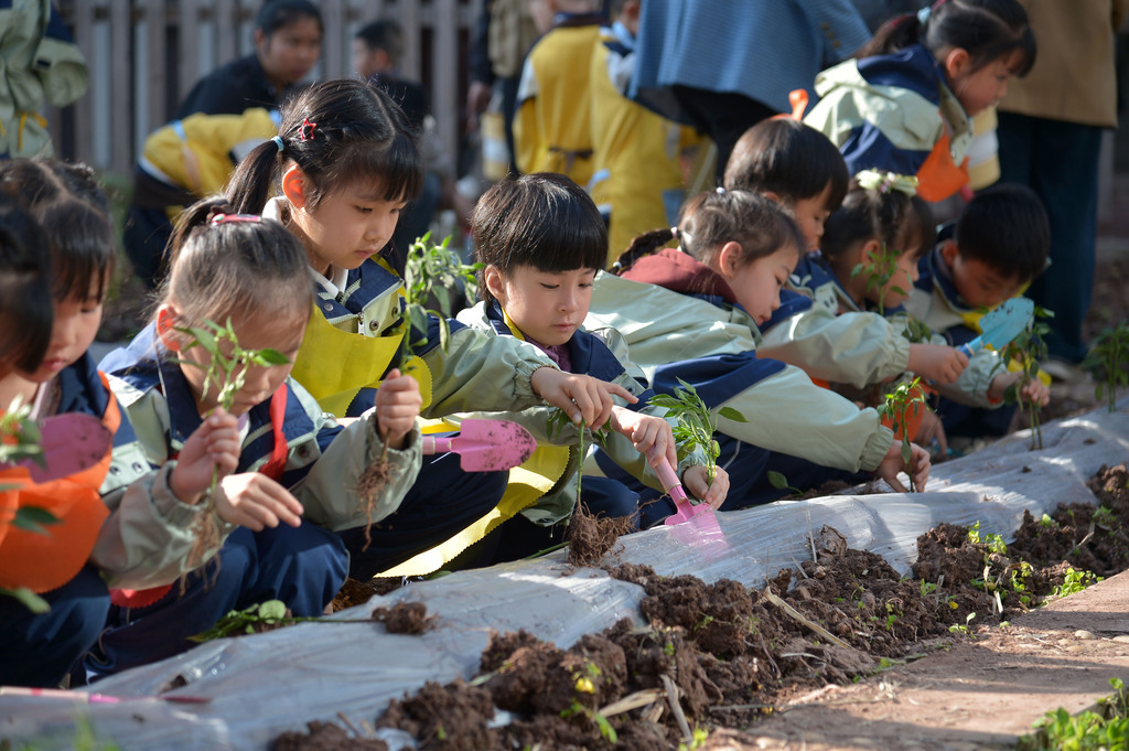 四川内江：萌娃感受春播农耕乐趣
