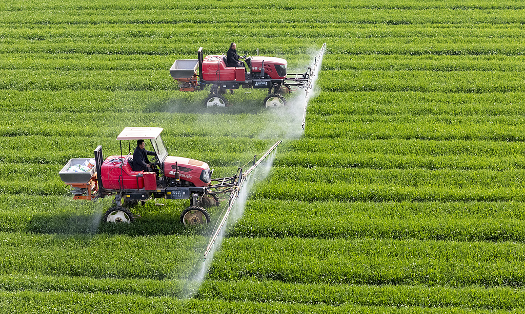 江苏南通：农民驾驶植保机管护麦田