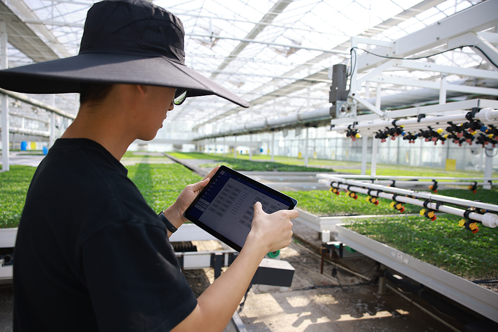 浙江桐乡：科技育苗助春耕