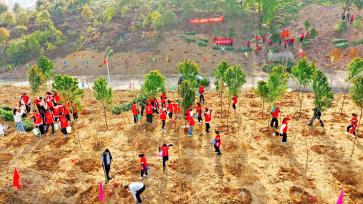 重庆：植树造林筑牢城市生态屏障