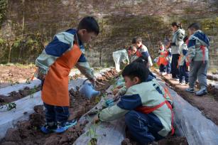 四川内江：萌娃感受春播农耕乐趣