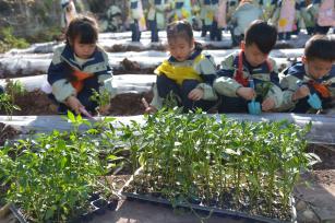 四川内江：萌娃感受春播农耕乐趣