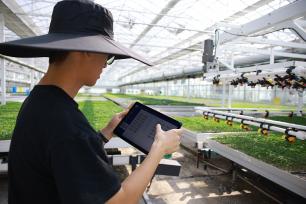 浙江桐乡：科技育苗助春耕