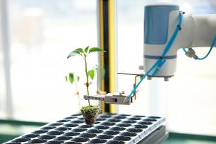 浙江桐乡：科技育苗助春耕