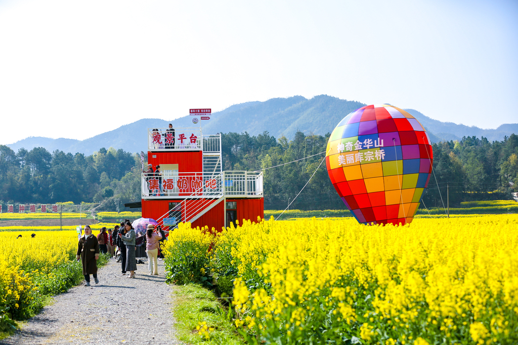 湖南衡阳：油菜花田绘就“八骏图”