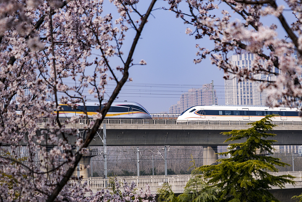 河南郑州：高铁列车穿行春日花海