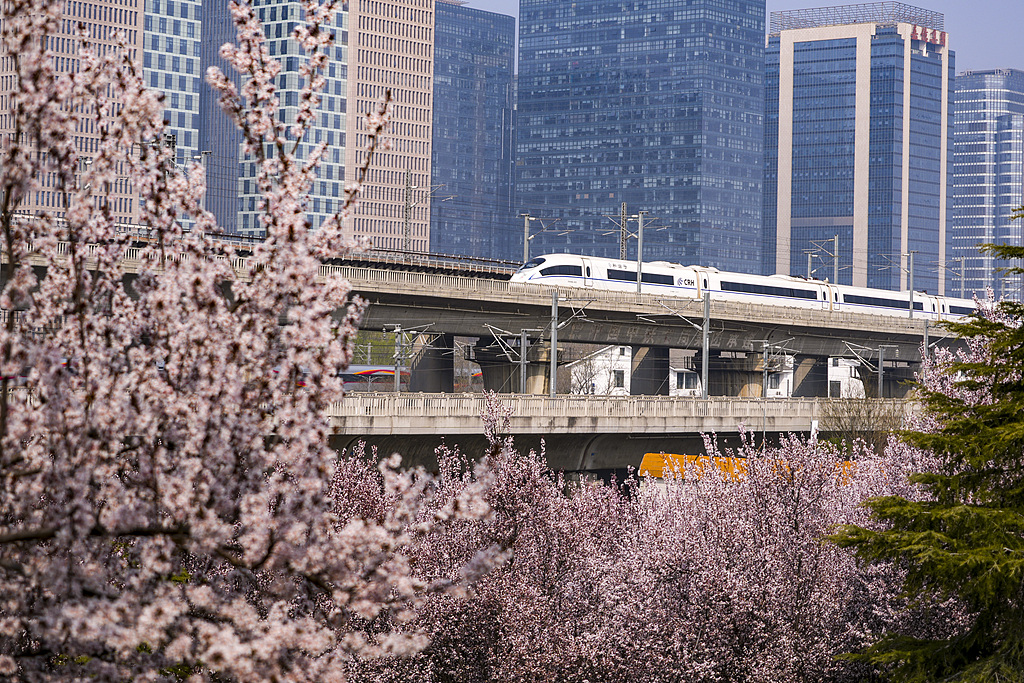 河南郑州：高铁列车穿行春日花海