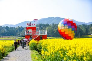 湖南衡阳：油菜花田绘就“八骏图”