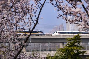河南郑州：高铁列车穿行春日花海