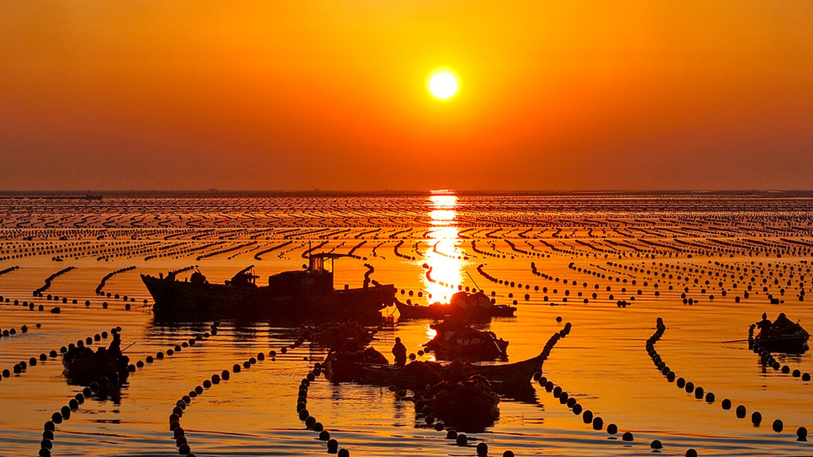 山东荣成：海上“春耕”映朝阳