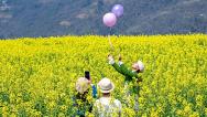 湖北恩施：油菜花竞相绽放连片金黄