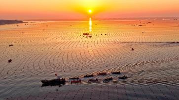 山东荣成：海上“春耕”映朝阳