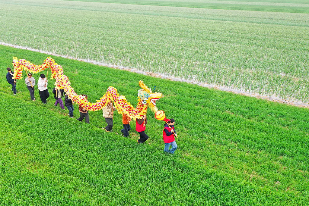 江苏睢宁：小朋友田间舞龙迎接“龙抬头”