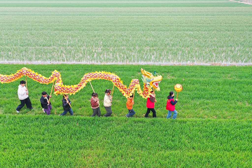 江苏睢宁：小朋友田间舞龙迎接“龙抬头”