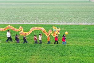 江苏睢宁：小朋友田间舞龙迎接“龙抬头”