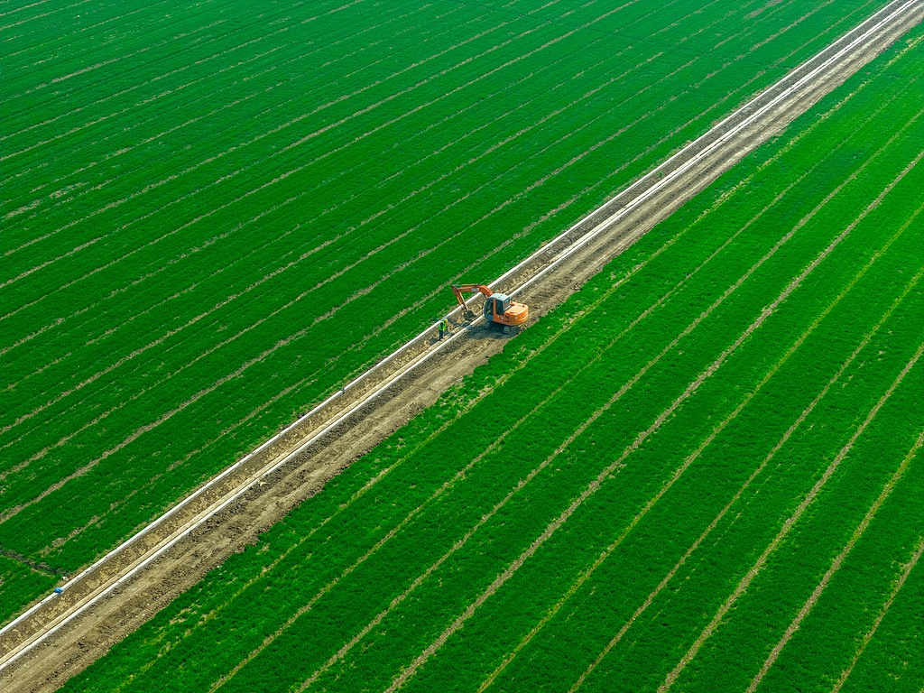 江苏淮安：村民在麦田中修整河沟