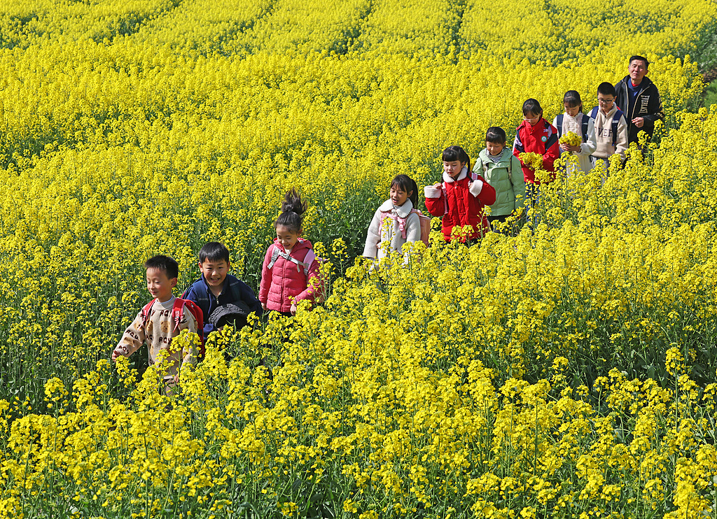 安徽无为：乡村儿童走进油菜花田感受春日