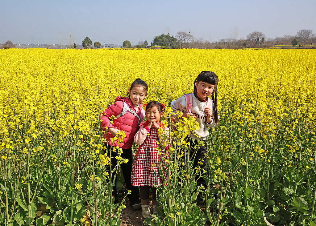 安徽无为：乡村儿童走进油菜花田感受春日