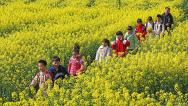 安徽无为：乡村儿童走进油菜花田感受春日