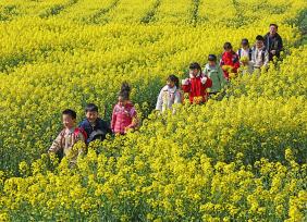 安徽无为：乡村儿童走进油菜花田感受春日