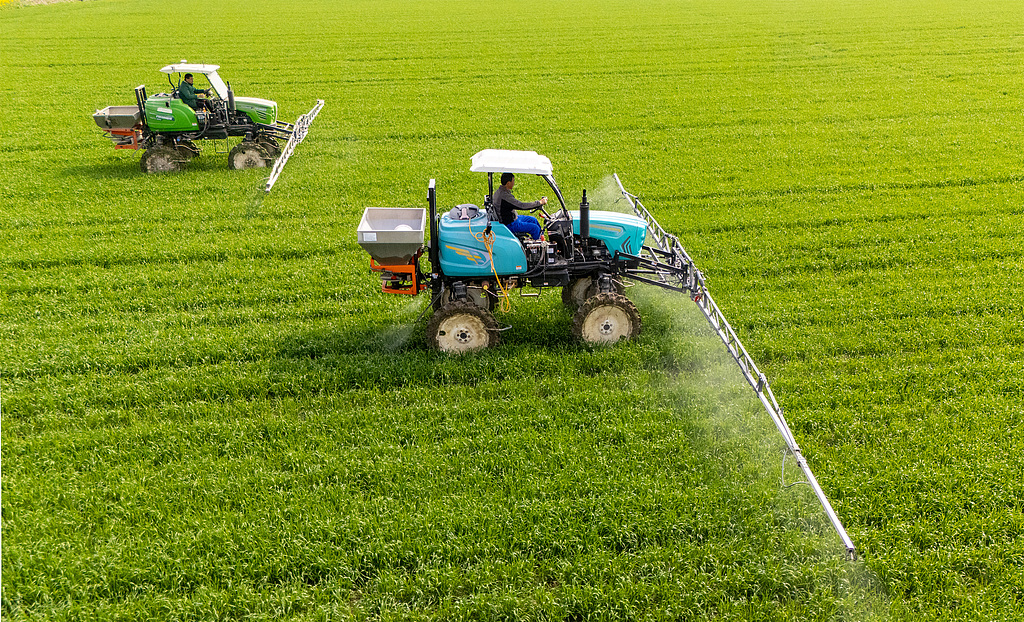 江苏南通：农民驾驶植保机管护麦田