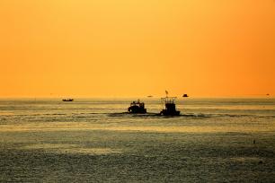 山东日照：渔民伴朝阳出海捕捞