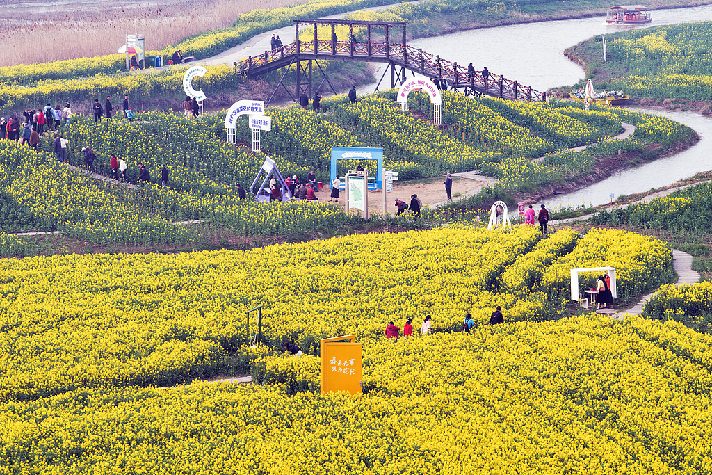 江苏高邮“湖上花海”展春日胜景