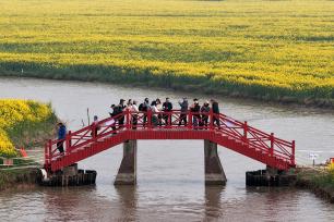 江苏高邮“湖上花海”展春日胜景