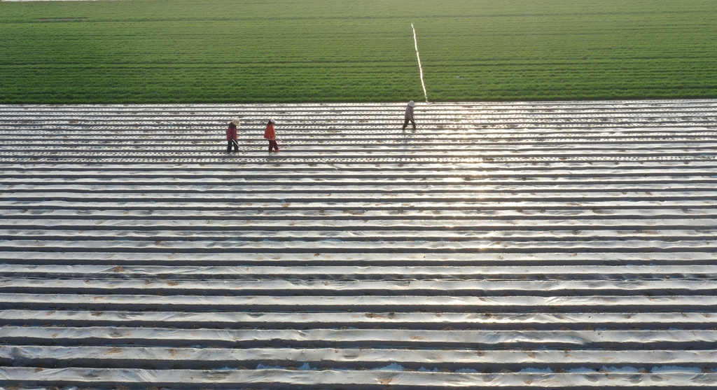 河南安阳：农民抢抓农时开展春耕作业