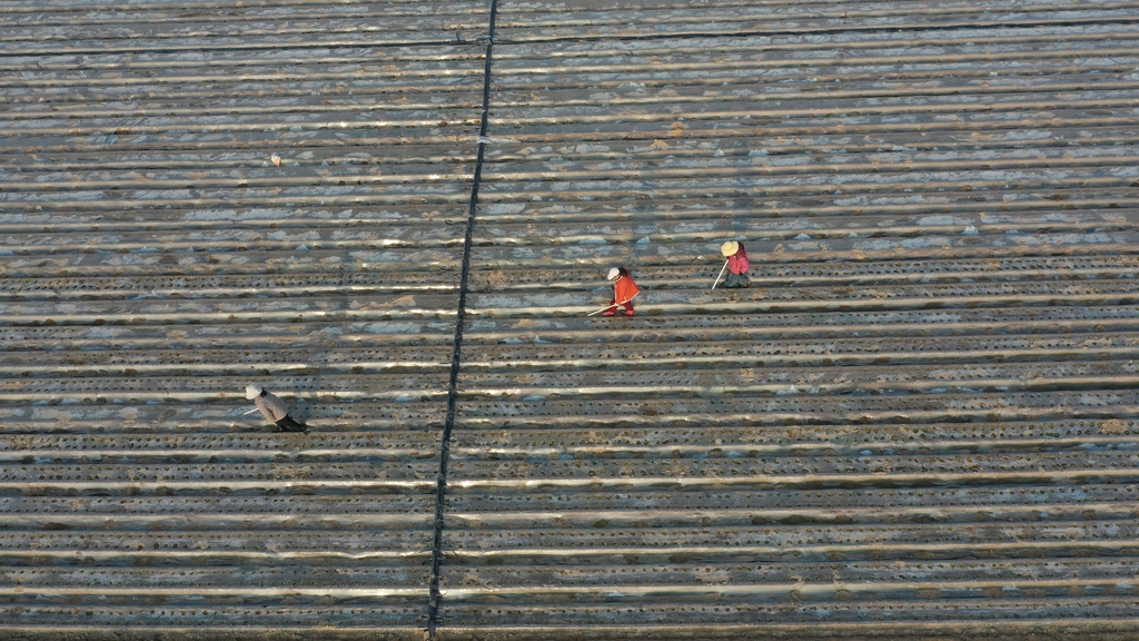 河南安阳：农民抢抓农时开展春耕作业