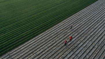 河南安阳：农民抢抓农时开展春耕作业