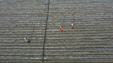 河南安阳：农民抢抓农时开展春耕作业