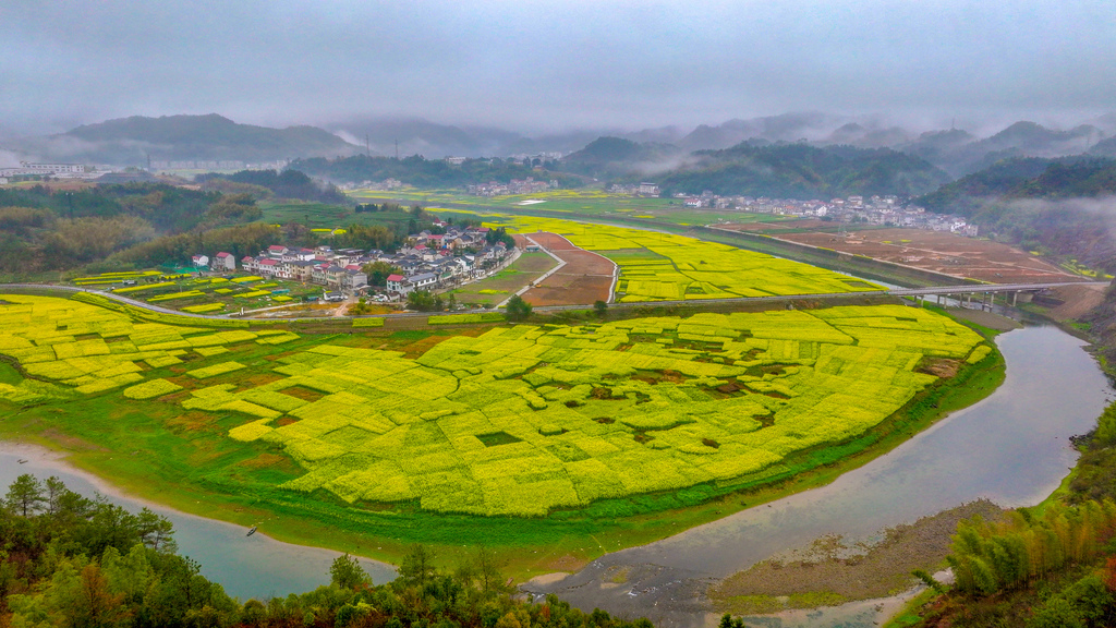 浙江杭州：油菜花海扮靓美丽乡村