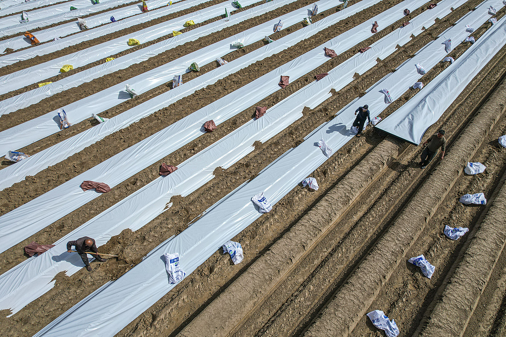 山西芮城：春日农田奏响“春耕交响曲”
