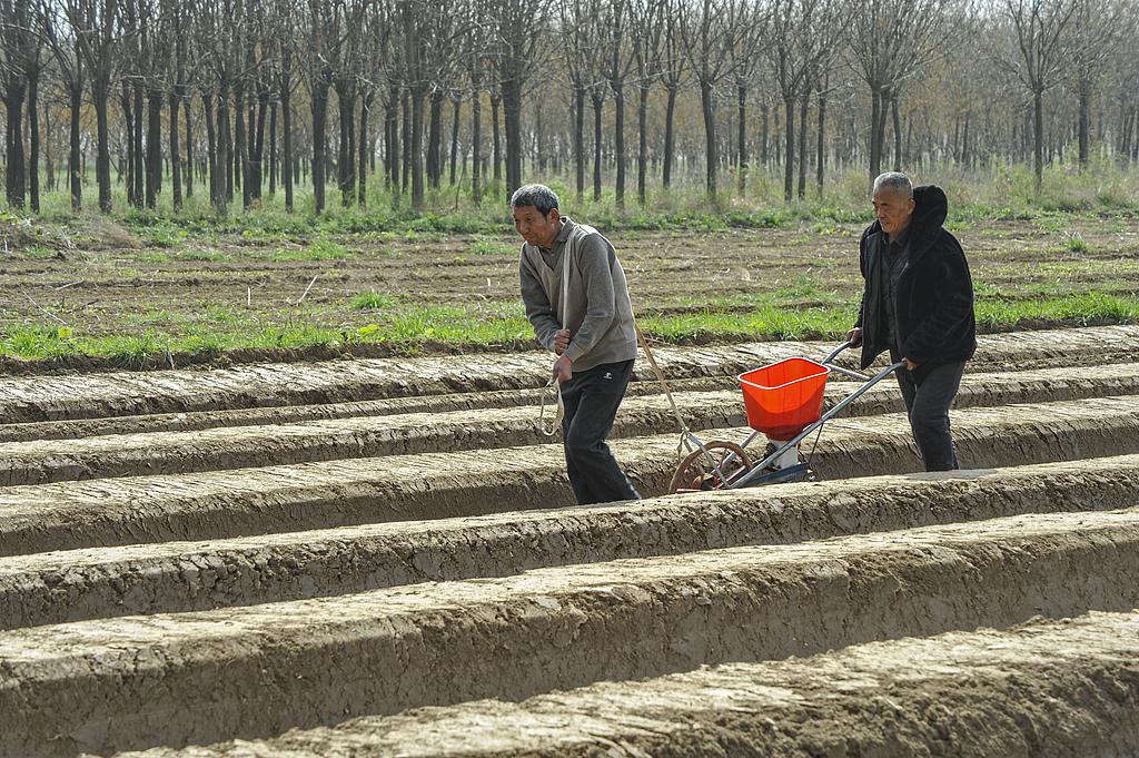 山西芮城：春日农田奏响“春耕交响曲”
