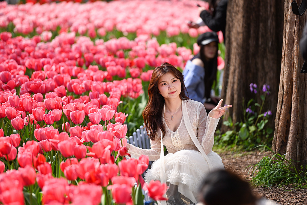 南京：游客游园赏花享春光