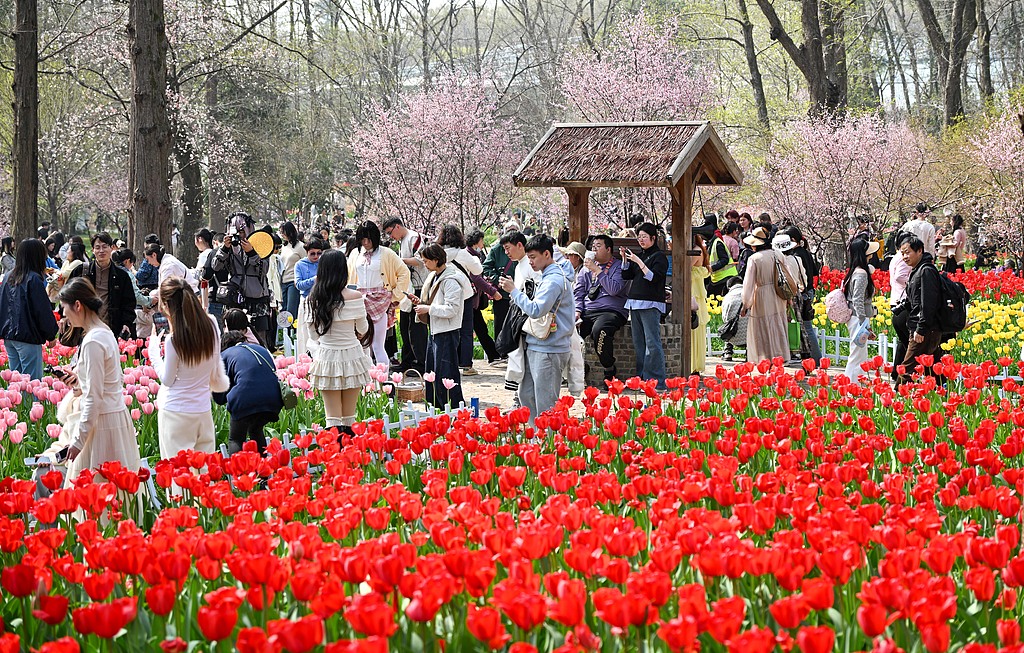 南京：游客游园赏花享春光