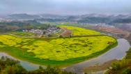 浙江杭州：油菜花海扮靓美丽乡村