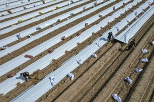 山西芮城：春日农田奏响“春耕交响曲”