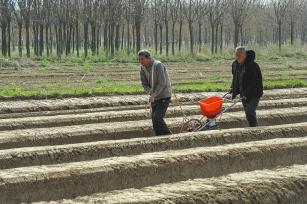 山西芮城：春日农田奏响“春耕交响曲”